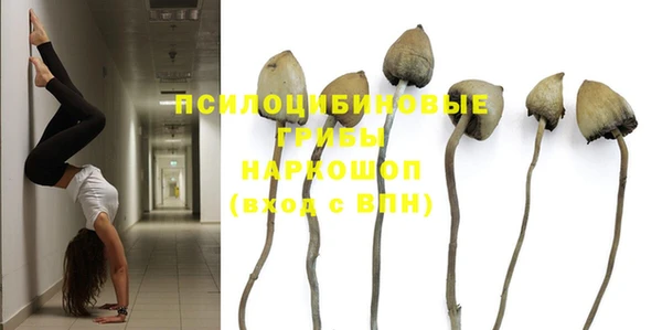 мдпв Волоколамск