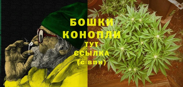 мдпв Волоколамск