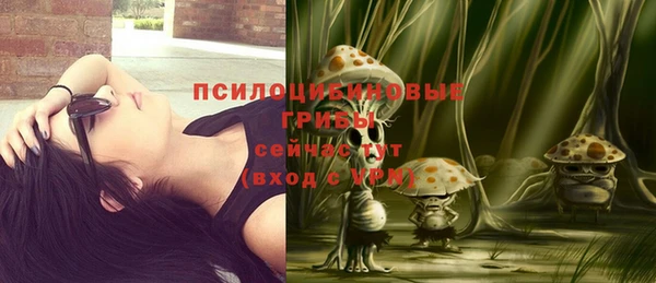 мдпв Волоколамск
